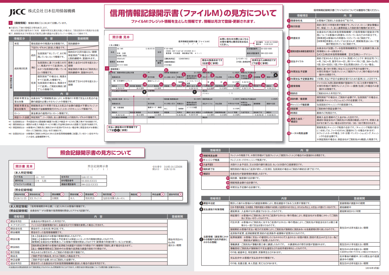 信用情報記録開示報告書　ファイルM